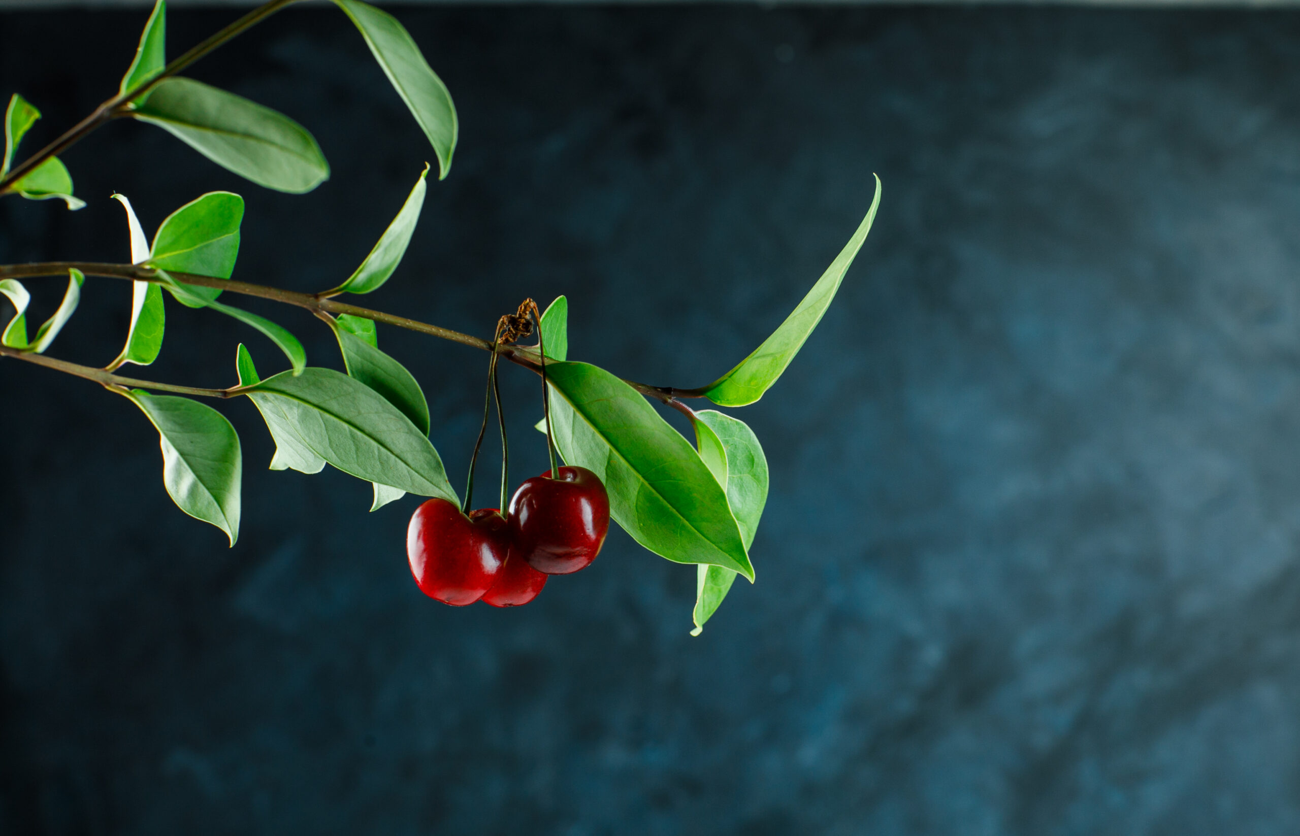Ceaiul din crenguțe de cireș: un remediu natural redescoperit